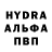 ГЕРОИН хмурый Berdimyradowna._ K