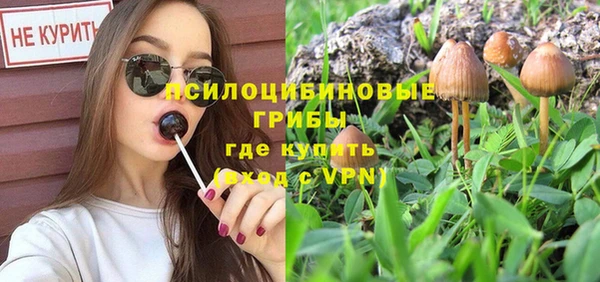 дживик Балахна