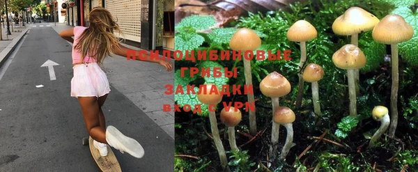 ECSTASY Балабаново
